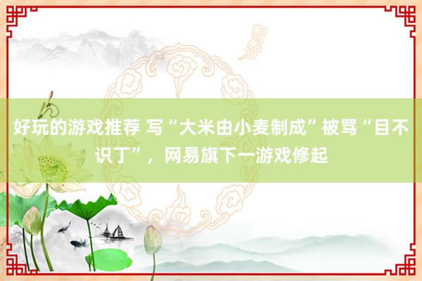 好玩的游戏推荐 写“大米由小麦制成”被骂“目不识丁”，网易旗下一游戏修起