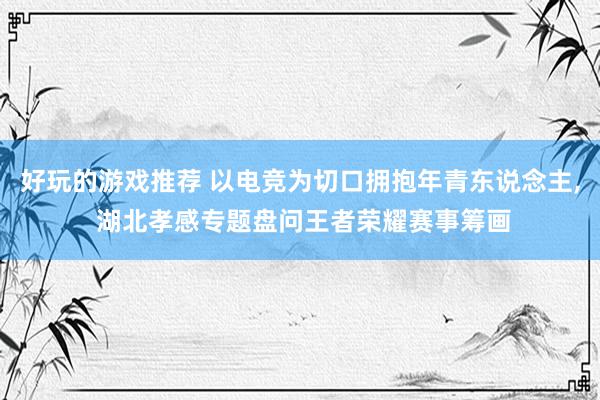 好玩的游戏推荐 以电竞为切口拥抱年青东说念主, 湖北孝感专题盘问王者荣耀赛事筹画